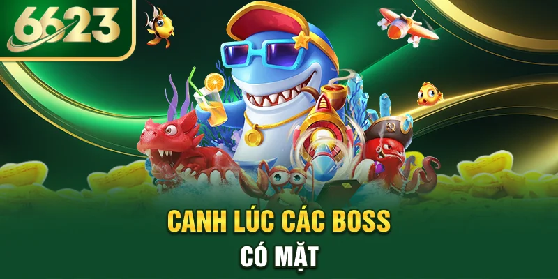 canh-luc-cac-boss-co-mat