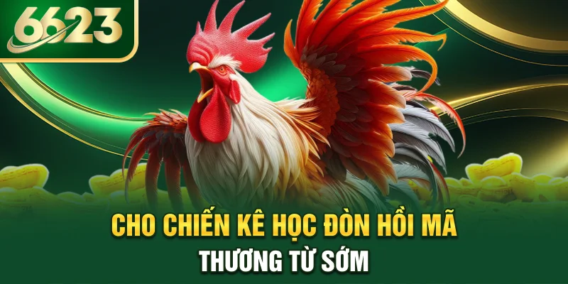 cho-chien-ke-hoc-don-hoi-ma-thuong-tu-som