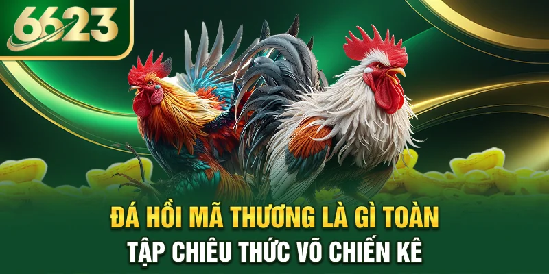 da-hoi-ma-thuong-la-gi-toan-tap-chieu-thuc-vo-chien-ke