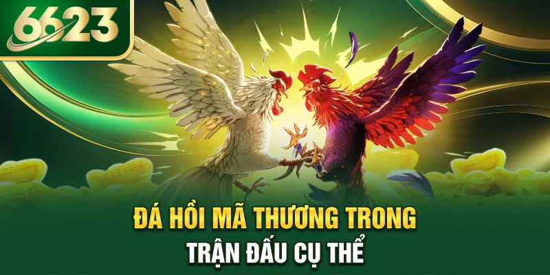 da-hoi-ma-thuong-trong-tran-dau-cu-the