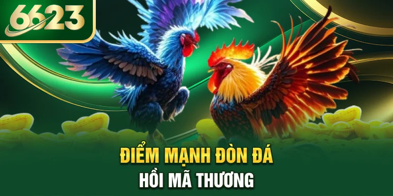 diem-manh-don-da-hoi-ma-thuong