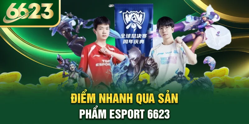 diem-nhanh-qua-san-pham-esport-6623