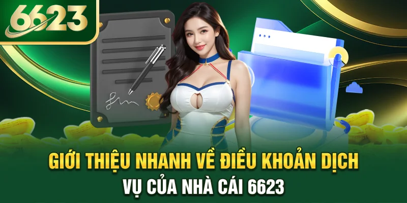 gioi-thieu-nhanh-ve-dieu-khoan-dich-vu-cua-nha-cai-6623