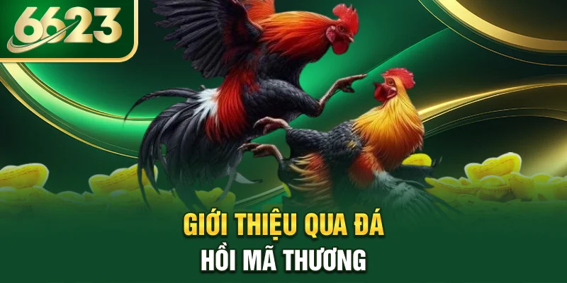 gioi-thieu-qua-da-hoi-ma-thuong