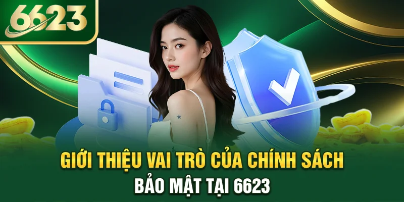 gioi-thieu-vai-tro-cua-chinh-sach-bao-mat-tai-6623
