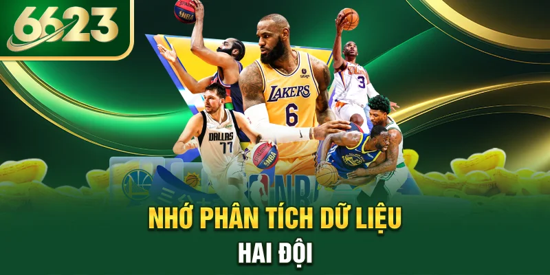 nho-phan-tich-du-lieu-hai-doi