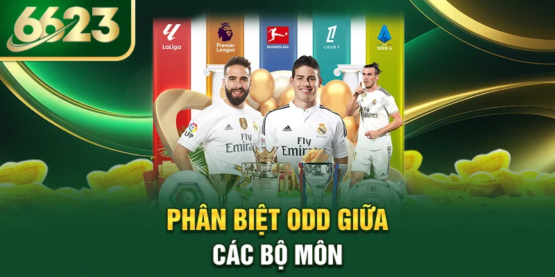 phan-biet-odd-giua-cac-bo-mon