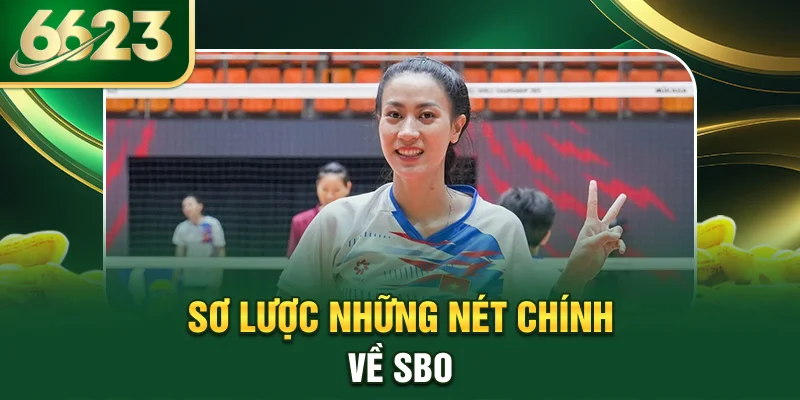 so-luoc-nhung-net-chinh-ve-sbo