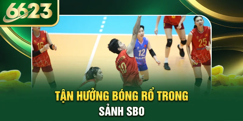 tan-huong-bong-ro-trong-sanh-sbo