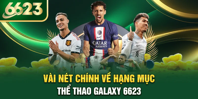 vai-net-chinh-ve-hang-muc-the-thao-galaxy-6623
